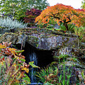 Autumn Botanical Garden with Waterfall